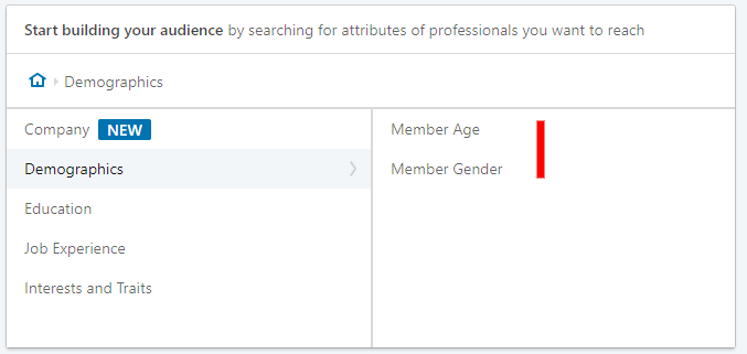 Linkedin advertising - demographics setting